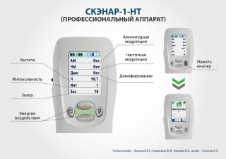 СКЭНАР-1-НТ (исполнение 01)  в Рошале купить Нейродэнс ПКМ официальный сайт - denasdevice.ru 